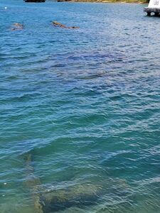 Ember Snow nuevas fotos desnudas calientes filtradas de OnlyFans