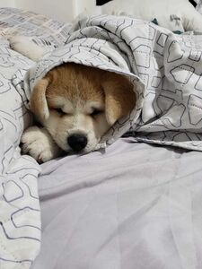 Ruth Lee Onlyfans fa trapelare le ultime foto di nudo