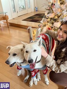 マミ・ブリーの新しいホットなOnlyFansの流出ヌード